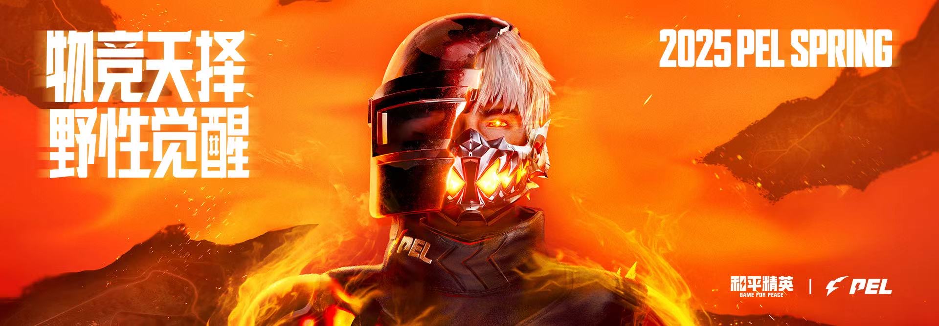 使用和平精英辅助封号吗？